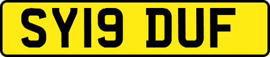 SY19DUF