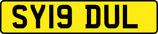 SY19DUL