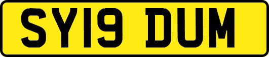 SY19DUM
