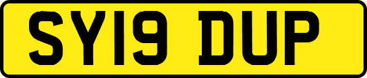 SY19DUP