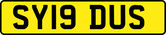 SY19DUS