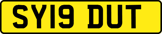 SY19DUT