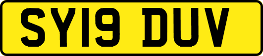 SY19DUV