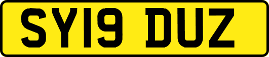 SY19DUZ