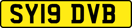 SY19DVB