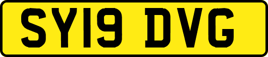 SY19DVG