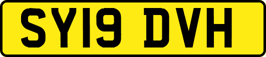 SY19DVH