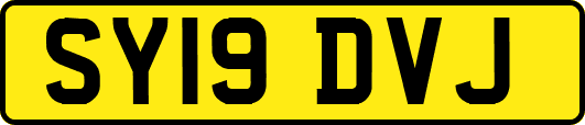 SY19DVJ