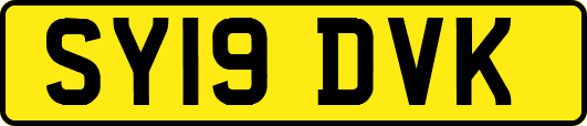SY19DVK