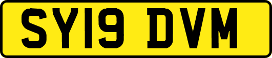 SY19DVM