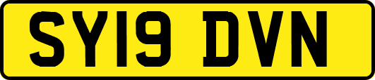 SY19DVN