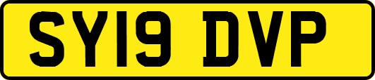 SY19DVP