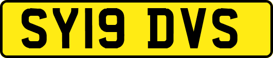 SY19DVS