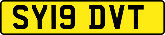 SY19DVT