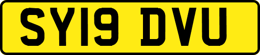 SY19DVU