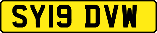 SY19DVW
