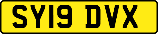 SY19DVX