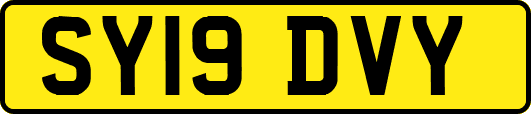 SY19DVY