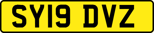 SY19DVZ