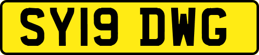 SY19DWG