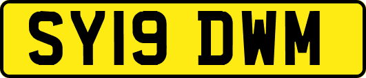 SY19DWM