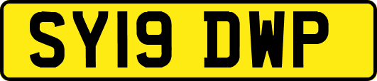 SY19DWP