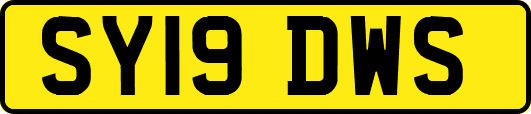 SY19DWS
