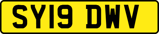 SY19DWV