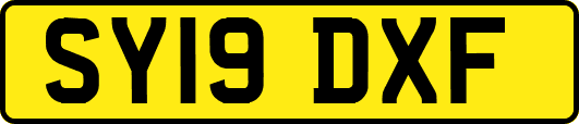 SY19DXF
