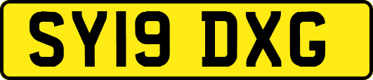 SY19DXG