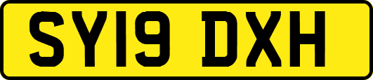 SY19DXH