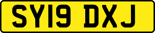 SY19DXJ