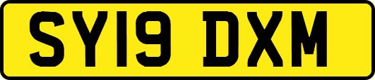 SY19DXM