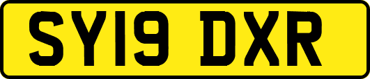 SY19DXR