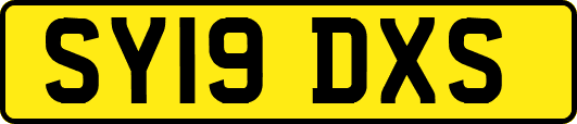 SY19DXS