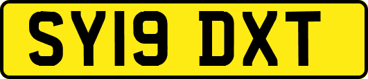 SY19DXT