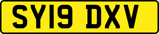 SY19DXV