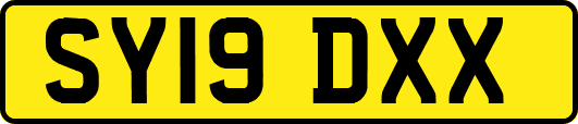 SY19DXX