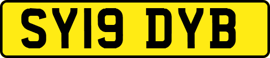 SY19DYB