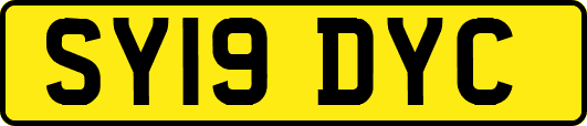 SY19DYC