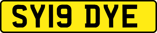 SY19DYE