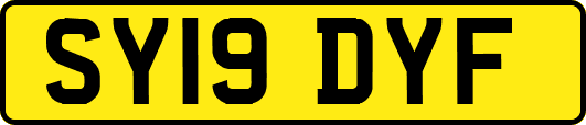 SY19DYF