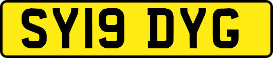SY19DYG
