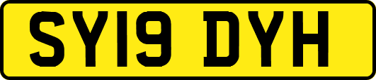 SY19DYH