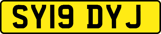 SY19DYJ