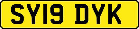 SY19DYK