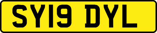 SY19DYL