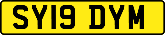 SY19DYM