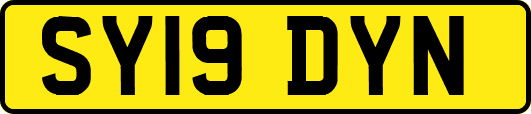SY19DYN