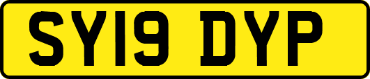 SY19DYP